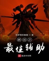 峽谷之最佳輔助